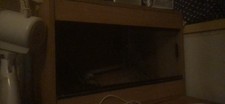 small vivarium 1-2ft with