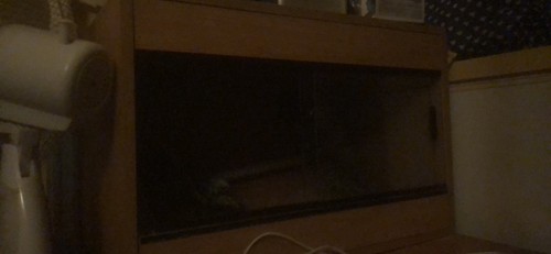 Small vivarium 2ft - small, with