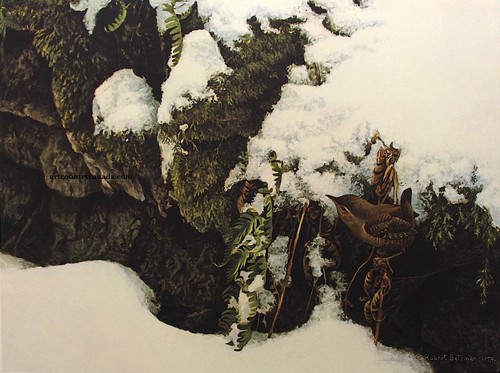 Robert bateman winter - robert,