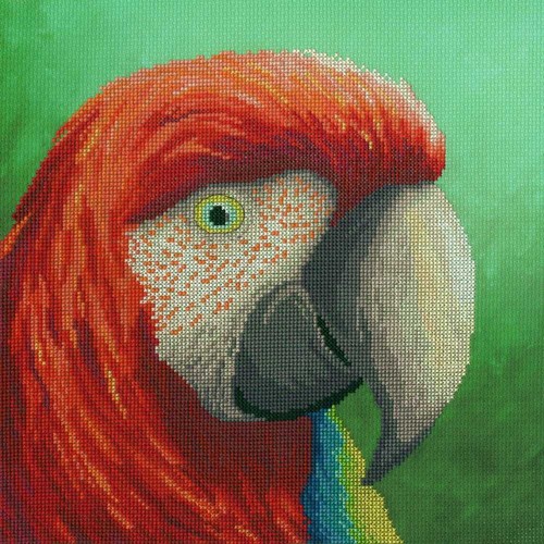 Vision parrot cross - vision, kit