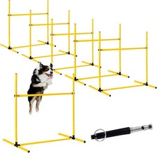 6 Pcs Dog Agility Training