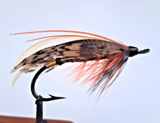 Vintage Gut Eye Salmon
