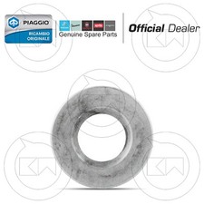 Joint Plate Spring Valve 826256 Original Gilera Nexus 500 4T LC 2012