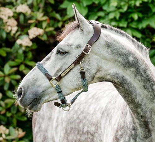 Horseware signature braided - signature,