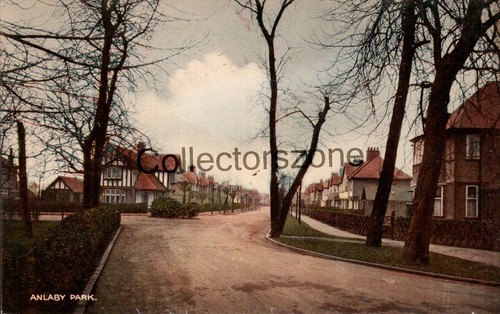 Hull anlaby park - park, coloured