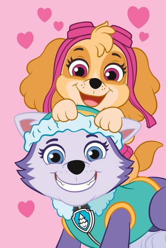 Paw patrol fleece throw - paw,