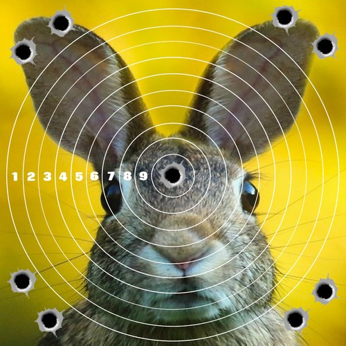 Rabbit adhesive targets - 6, x