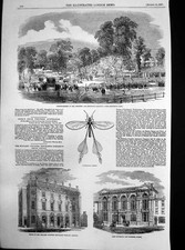 Original Old Antique Print