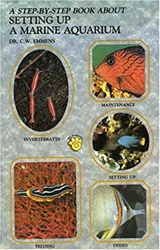 Step book about - book,