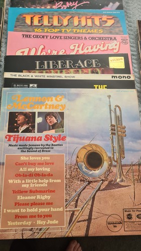 Vinyl record collection - 24,