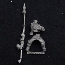 Imperial Guard Tallarn Rough