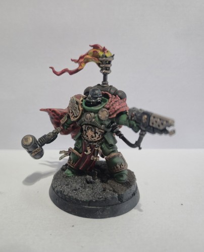 Adrax agatone salamanders - adrax,
