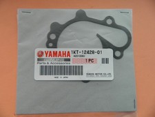 YAMAHA TYZ250 TRIALS WATER