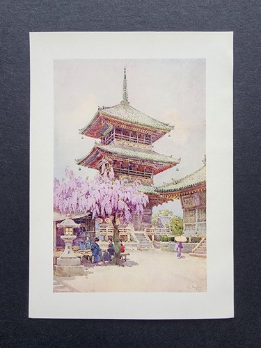Antique 1908 print wisteria - print,