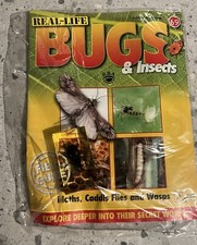 Real Life Bugs Issue 69 Moths
