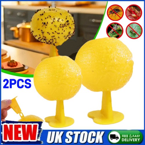 Fruit fly balls ball - fly,