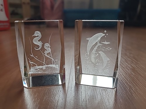 Sea horse dolphin - dolphin, clear