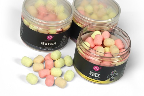 Mainline carp fishing - mainline,
