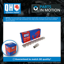 Bulb QBL580 Quinton Hazell