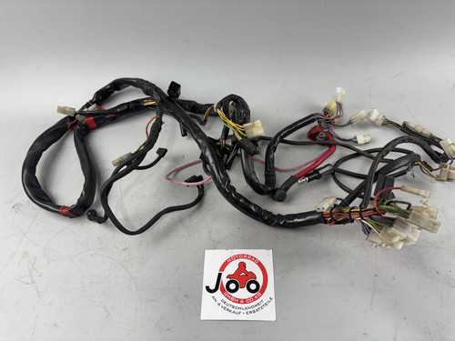 Bmw f650 169 wiring harness - f650,