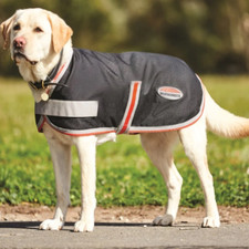 Weatherbeeta 1200D Therapy-Tec Dog Coat