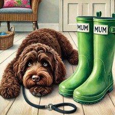 Single Luxury Chocolate Cockapoo Mum Birthday Card Dog Gift/Present WEL