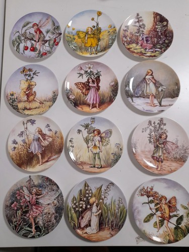 Flower fairies cicely mary - flower,