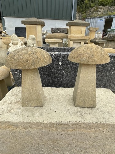 Pair cotswold stone - of,