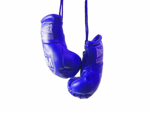 Ringmaster mini boxing gloves - mini,