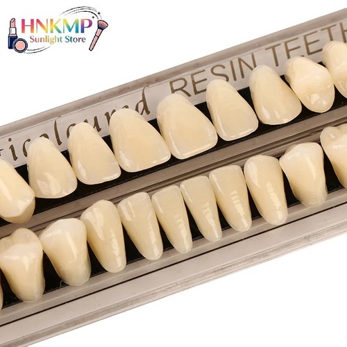 Dental denture resin false - denture,