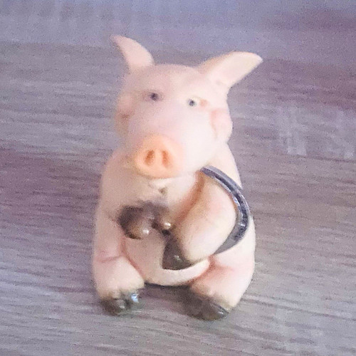 Piggin good luck - good,