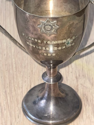 Silver plated boxing trophy - silver,