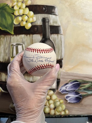 Dominic dimaggio signed - dominic,