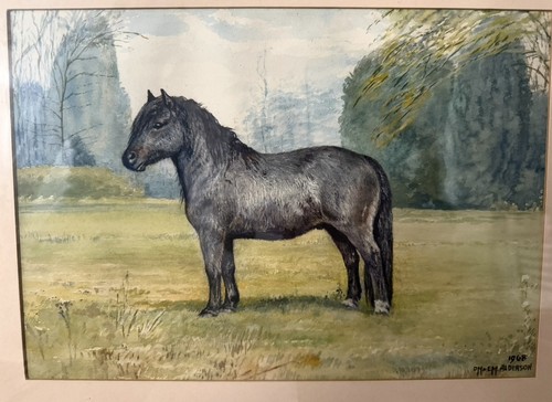 Original 1968 horse watercolor - original,