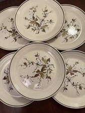 6 Royal Doulton Lambeth ware Wild Cherry 10” Dinner Plates