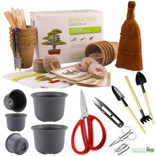 Bonsai tree kit grow - 5, types
