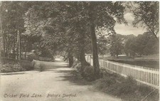 CRICKET FIELD LANE, BISHOPS STORTFORD, HERTFORDSHIRE.  [#44]