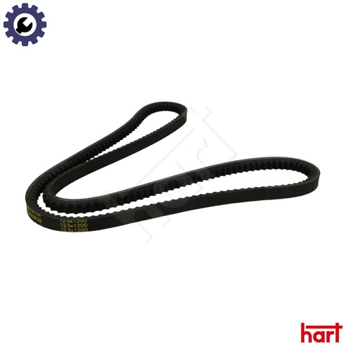 Vbelt 334 198 - vbelt, for