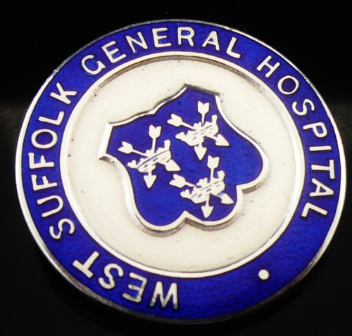 Sterling silver nursing - nursing, badge