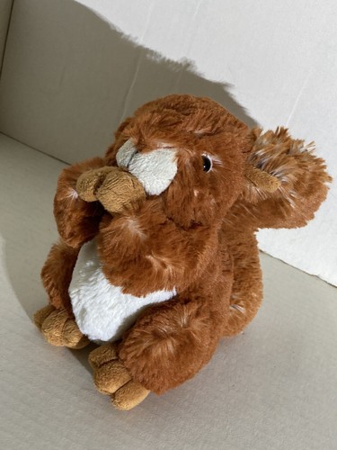 Red squirrel soft - soft, carte