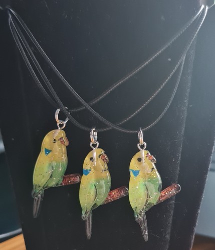 Cute yellow green - cute, budgie