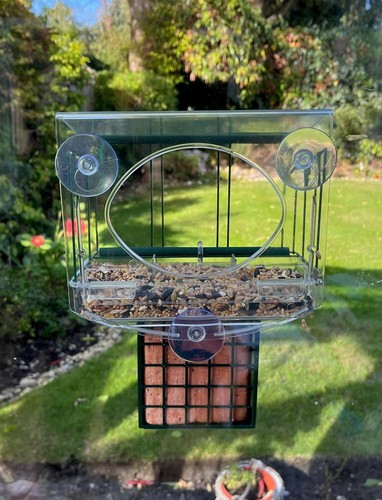 Large capacity pigeon proof - capacity, pigeon-proof