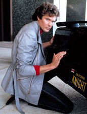 David hasselhoff kneeling - david,