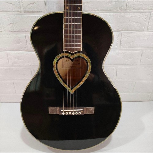 Heart acoustic guitar case - heart,