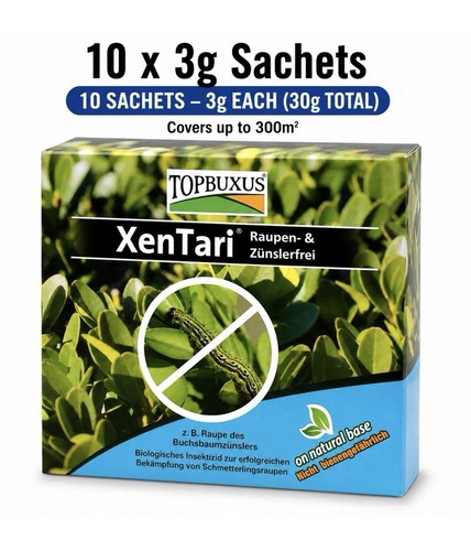 Topbuxus xentari boxwood - topbuxus,