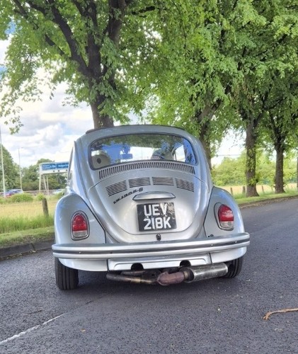 Volkswagen beetle1302s - volkswagen,