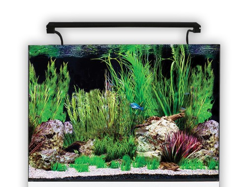 Aqua one aquanano - one,