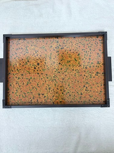 Japanese tsugaru lacquer tray - tsugaru,