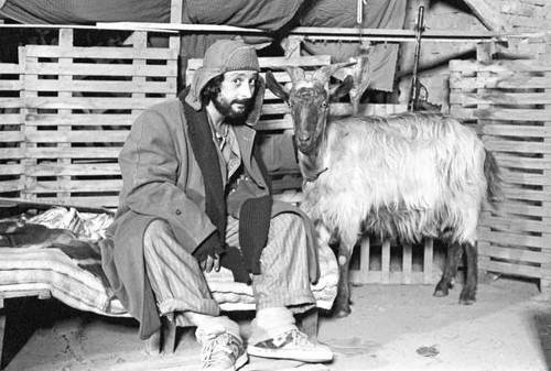 Leo gullotta beside goat - beside, a