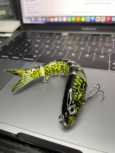 Pike lure motion realistic - pike,